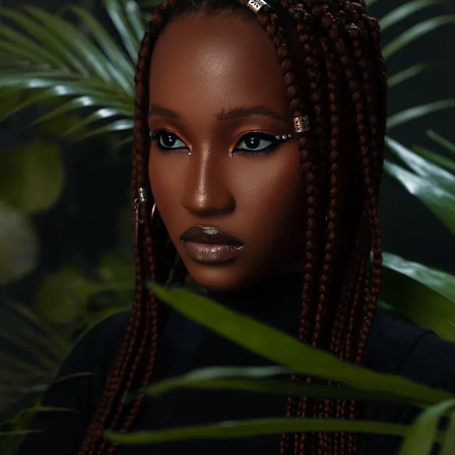 Box braids hairstyle reference