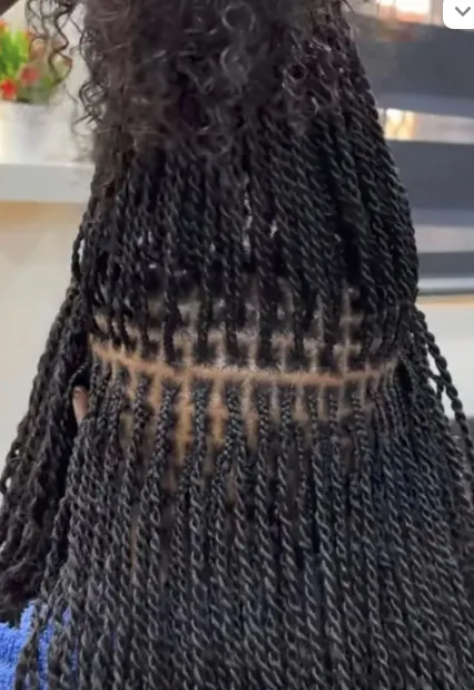 Micro Twists hairstyle